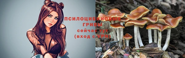 a pvp Алзамай